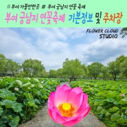 2024 부여 궁남지 연꽃축제 기본정보 & 부여서동연꽃축제 주차장 안내