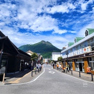 일본 자유여행 큐슈패스로 후쿠오카에서 유후인 가는 법