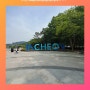 인천대공원 장미원 날씨 좋은 날 방문한 후기