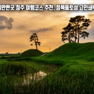 충북 가볼만한곳 청주 여행코스 추천 정북동토성 미동산 수목원 외