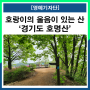 [등산소식] 경기도 호명산, 짙은 산세부터 호랑이 울음까지 #호명산 #호명산등산코스 #경기도등산추천 #초보등산 #초보등산추천 #경기도산 #등산코스 #등산추천 #등산 #마운틴TV