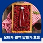 오미자원액효능, 섭취 주의사항 오미자 원액 만드는 방법