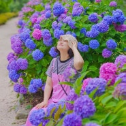 태안 천리포수목원 수국 축제 7월 꽃구경 볼거리 가볼만한곳