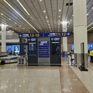 푸동공항에서 상하이 디즈니랜드 가는 방법 가격 정보
