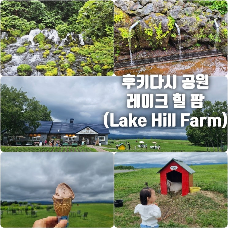 일본 가족 여행 2일차 후키다시 공원 / 레이크힐팜 lake hill farm / 도야....