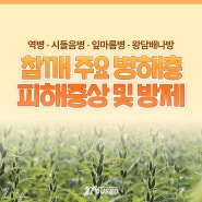 참깨 주요 병해충 <역병 · 시들음병 · 잎마름병 · 왕담배나방> 피해 증상 및 방제