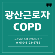 광산근로자 폐질환산재 승인사례 : COPD