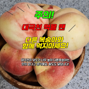 김천 구미 아삭 쫀득 달달한 대극천 후숙 , 고객님들의 맛 후기