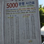 5000번 버스 운행 시간표