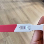 임신 4주차 1일 (24년7월1일 기준)