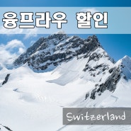 스위스 여행 준비 : 2024년 동신항운 융프라우 할인쿠폰과 가이드북 신청 방법