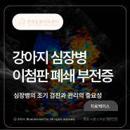 [24시 연희동물의료센터] 강아지 심장병, 기절, 실신 / 인천심장동물병원