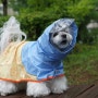 강아지 비옷 우비 입기 편한 바잇미 레인코트 네이버펫