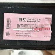 2주 뒤, 임신 테스트기 결과 | 아침 소변으로 체크