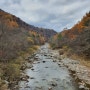 수습근로자 수습기간 만료 후 내보내는 경우 해고다(대구 노동, 부당해고 전문 김도현 변호사)