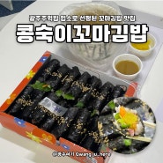 광주 꼬마김밥 맛집 콩숙이꼬마김밥 모듬김밥(중)+모뎅 포장후기