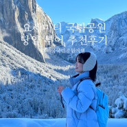 샌프란시스코 요세미티 국립공원 당일 투어, 겨울 대자연 여행 욜로투어 추천 후기 ♥