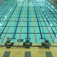 여수 수영장 진남수영장 일일권 자유수영 |강습 프로그램