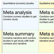 질적 메타분석 Qualitative Meta-Analysis