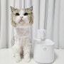 자동급수기 UV살균 스마트급수기 고양이급수기 페블펫