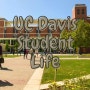 [대학 편입] 캘리포니아 대학 UC Davis TAG 가능 및 불가능 프로그램 안내