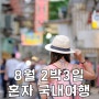 8월 2박3일 남자 여자 혼자 여름 뚜벅이 국내여행 준비물 리스트 짐 동선 어플 정리