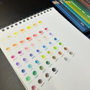 프리즈마 색연필 48색으로 그리는 쉬운 그림 그리기
