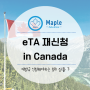 캐나다 현지에서 eTA 을 재발급 받아야 하는 상황 Top 3
