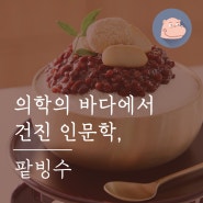 닥터하마의, 의학의 바다에서 건진 인문학 [팥빙수]