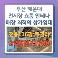 부산 해운대 해수욕장 앞 100평대 전시장, 쇼룸, 안테나매장 최적의 상가임대