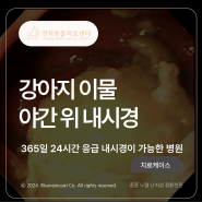 [24시 연희동물의료센터] 강아지 자두씨, 복숭아씨 이물 야간내시경 / 인천24시동물병원