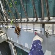 서울 강서구 화곡동 보람 쉬움 아파트 창틀 누수 실리콘 코킹 방수 작업 후기