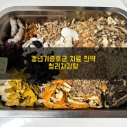 갱년기 치료 한약 ; 청리자감탕