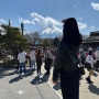 일본여행, 날씨가 도와준 후지산 일일투어(오시노핫카이, 가와구치 호 오이시 공원)