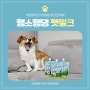 강아지 우유 행소행댕 펫밀크 내돈내산 후기