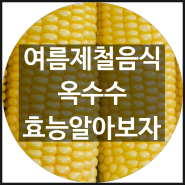 여름 제철음식 옥수수효능 알아보자 ♬