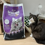 [고양이 다이어트 사료] 대용량 고양이 사료 그린벨씨푸드플러스 리뷰