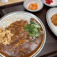 가락시장역맛집 아비꼬 카레, 풍미 가득 카레 맛집 추천