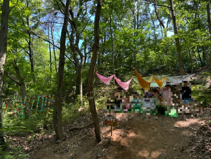 [바깥놀이활동] 7월 여름바깥놀이 숲속의 아지트만들기 : 네이버 블로그