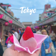 도쿄 여행 필수코스 <아사쿠사 센소지> 딸기모찌 기념품 인생샷까지