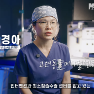 [KAMC 유튜브] 인터벤션‧MIS센터, 최소침습수술이 왜 반려동물에게 유리할까? 엽경아 수의사 인터뷰