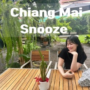 [치앙마이 카페] 스누즈 Snooze ChiangMai