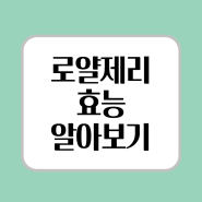 로얄젤리 효능, 꿀벌의 봄