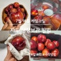 7월, 8월 여름 제철 과일 자두 냉장 보관방법(칼로리, 세척방법)