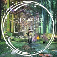 과천가볼만한곳 : 서울대공원 원더파크 미디어아트 사람 없는 시간에 가니 참 좋네!