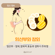 참외 효능 임산부가 참외,참외씨 섭취시 주의사항