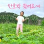 초등 텃밭 체험 수확의 맛 단호박 수확시기 ft.박각시나방 애벌레