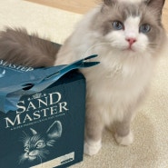 [고양이 모래] 샌드마스터 크랙형 두부모래 오리지널 후기