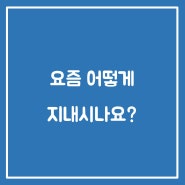 요즘 어떻게 지내시나요?