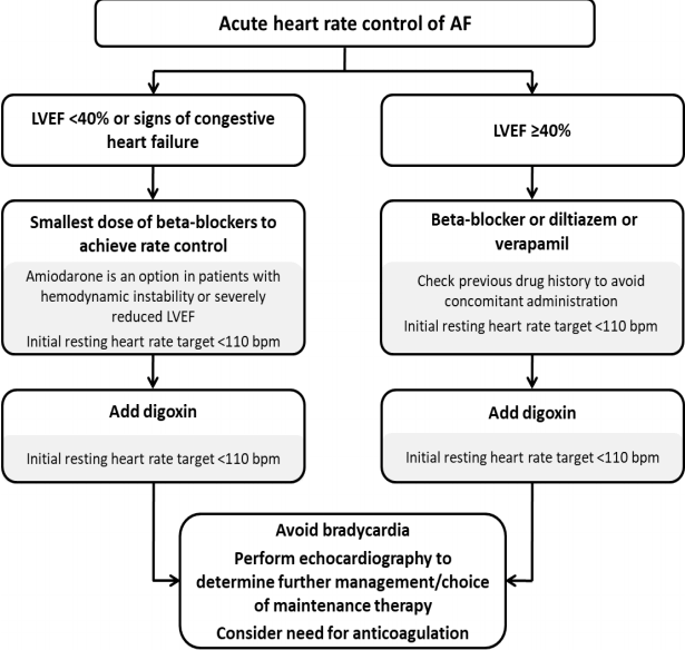 Af c RVR(Atrial Fibrillation With RVR) : 네이버 블로그